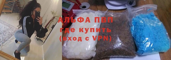 крисы Бронницы