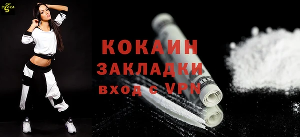 крисы Бронницы