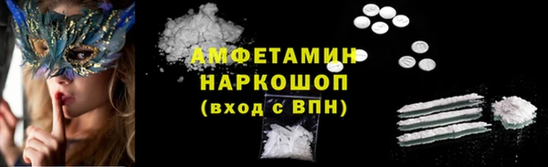 крисы Бронницы