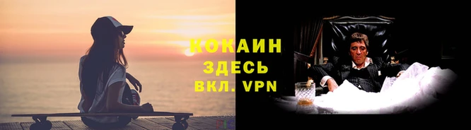 амф Верхний Тагил