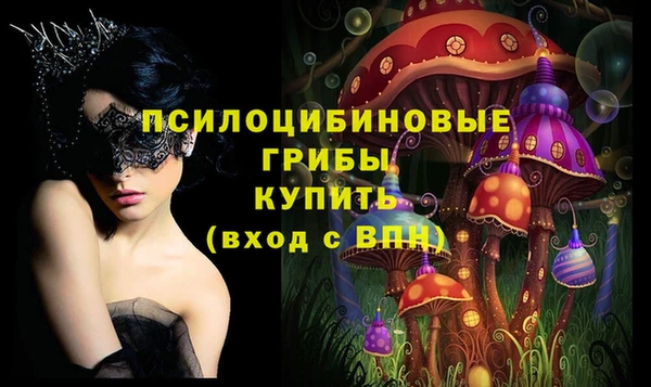 крисы Бронницы