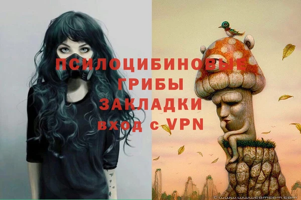 амф Верхний Тагил