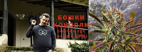 крисы Бронницы