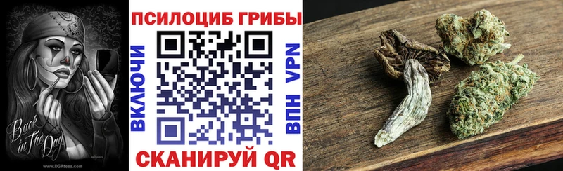 Галлюциногенные грибы MAGIC MUSHROOMS  Новосокольники 